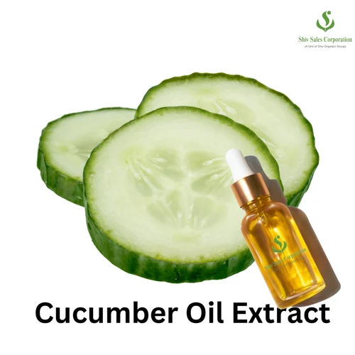 Cucumber Oil