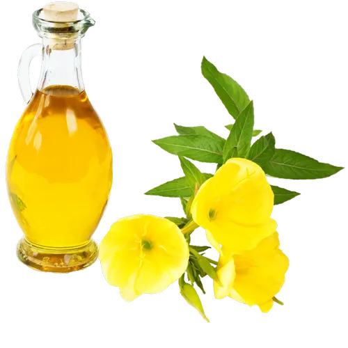 Evening Primrose Carrier Oil