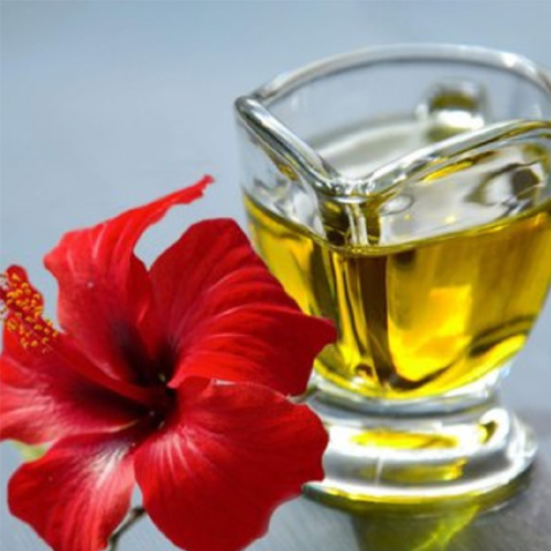 Hibiscus Oil